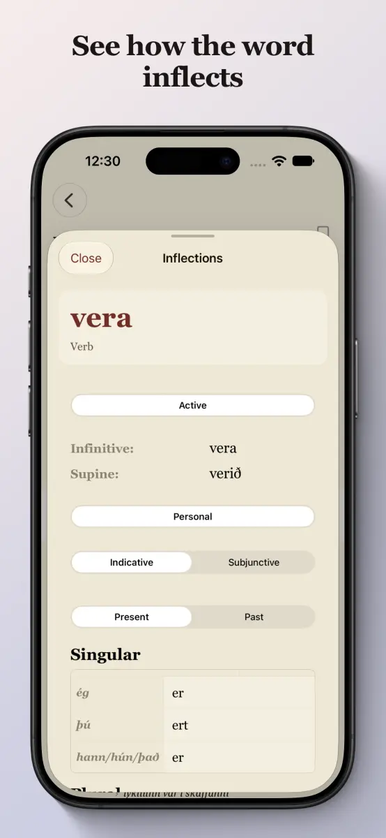 Icelandic-English Dictionary on iPhone — inflection tables