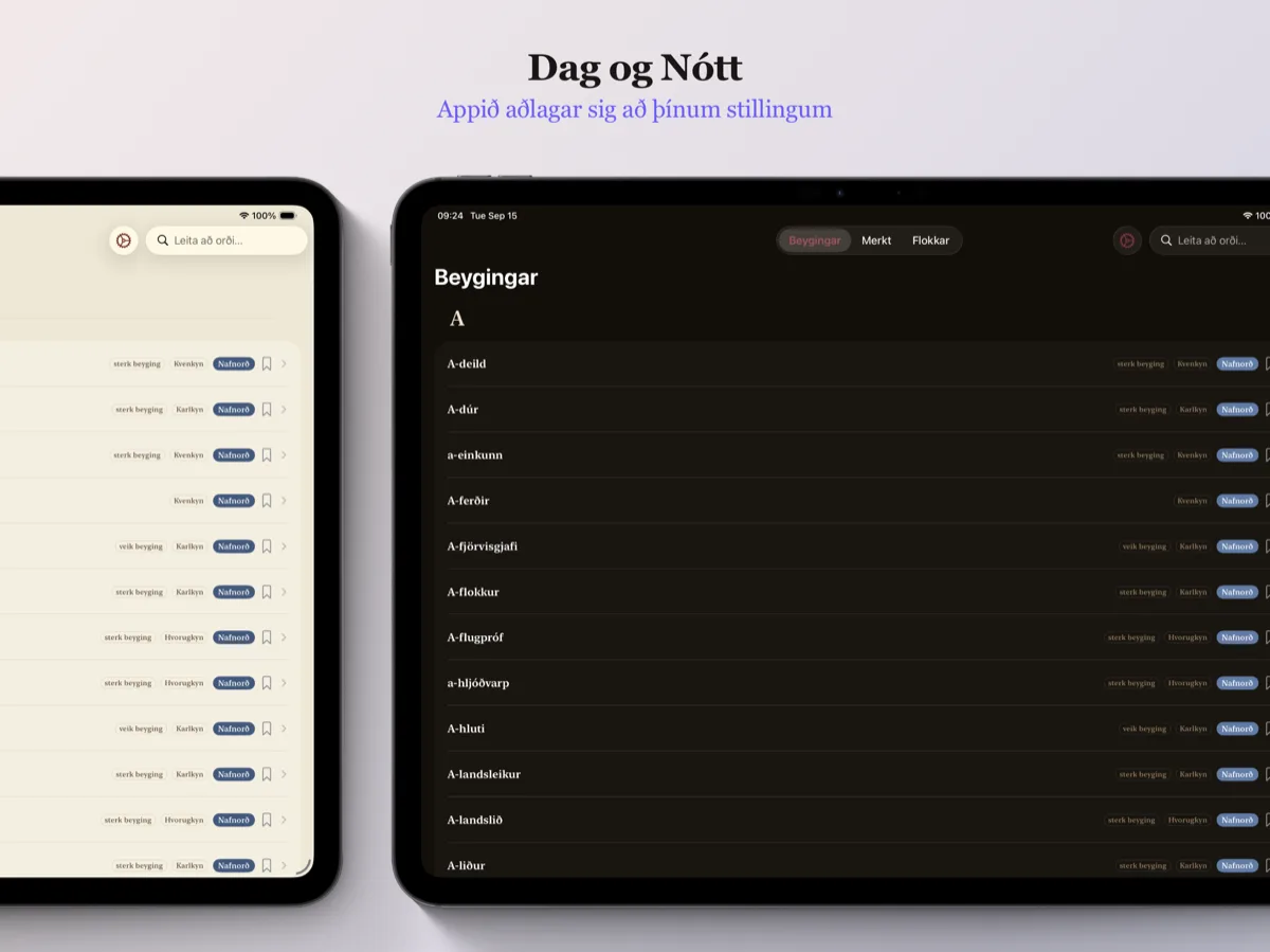 Íslenskar Beygingar á iPad — dökkt þema