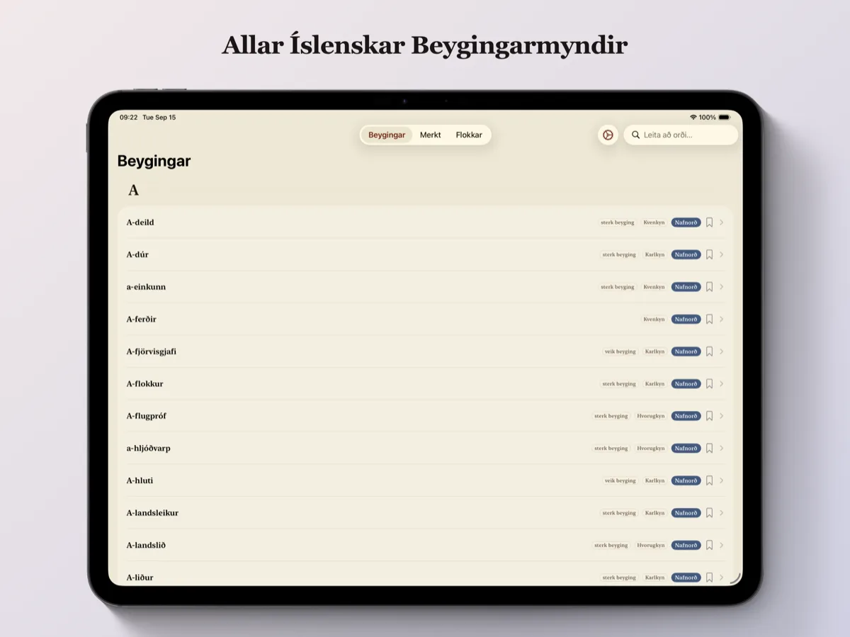 Íslenskar Beygingar á iPad — aðalskjár