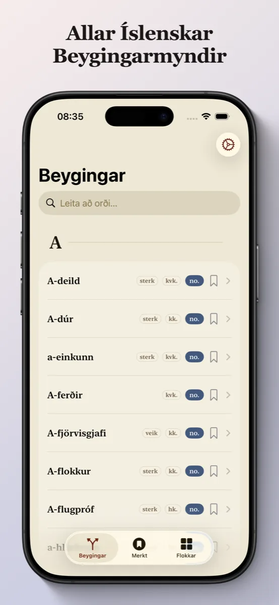 Íslenskar Beygingar á iPhone — aðalskjár